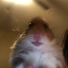 Дмитрий Кириенко, 28.08.2006