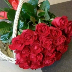 Гульчачак Бахтиярова, 10.04, Казань