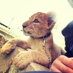 Артём Григорян, 28.09.1905, Москва