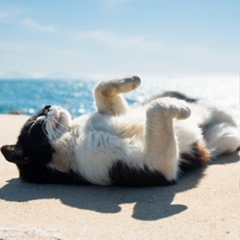 Igorek Kruk, 01.10, Киев