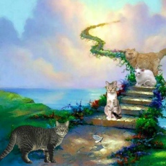 Марианна Скоробогатова, 21.04, Екатеринбург