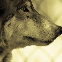 Руслан Данебай, 25.06.1990, Москва