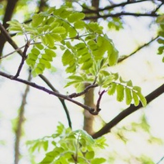 Александр Воронин, 26.11, Москва