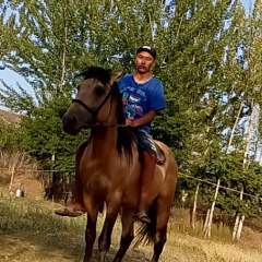 Биймурза Мурзаев, Омск