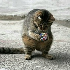 Александр Дубровский, 27.09.1983, Москва