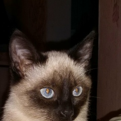 Айгуль Есмуратова, 01.06.1978, Уральск