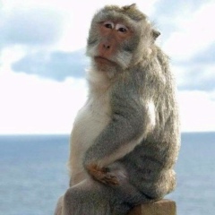 Куаныш Кендырбаев, 18.12.1991, Алматы