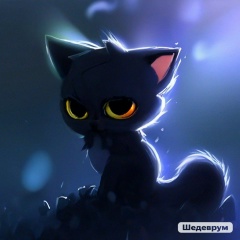 Александр Евтухов, Rajshahi