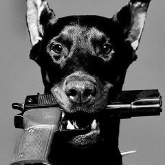 Григорий Быковский, 17.04.1988, Москва