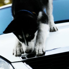 Наурызбай Кульбаев, 05.04.1992, Костанай