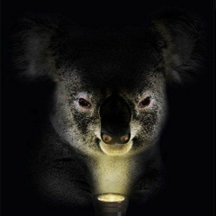 Dmitriy Zh, Москва