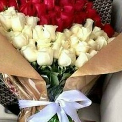 Ажара Жасмин, Алматы