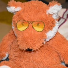 Ирен Туманова, 14.12