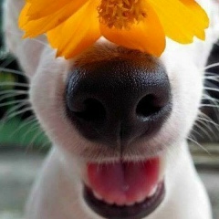 Дарина Ангелова, 01.04.1991, Черкассы