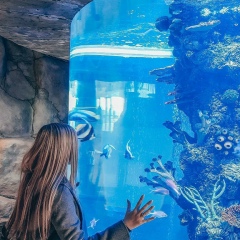 Алиса Истомова, 23.06, Алматы