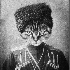 Шамиль Амиров, 05.03.1995, Грозный