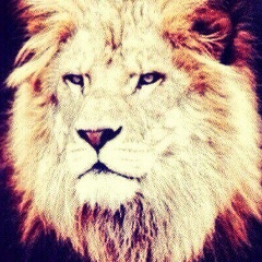 Эмиль Туманян, 24.01, Ростов-на-Дону