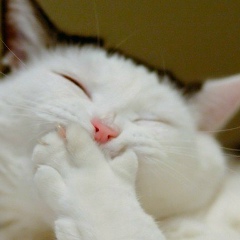 Ангелика Миловидова, 06.06.1949, Москва