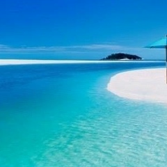 Зейнап Мамедова, 08.03, Санкт-Петербург