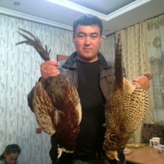 Zairov Sharip, 17.10, Алматы