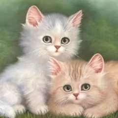 Надия Морозова, 28.03, Санкт-Петербург