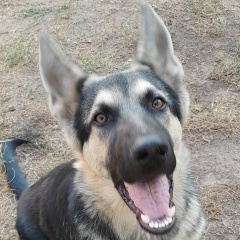 Ергали Костанов, 12.03.1987, Алматы