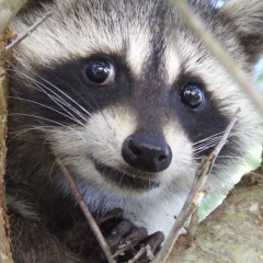 Антон Тюков, 21.12.1979, Санкт-Петербург
