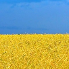 Юлечка Прокопова, 05.06.1990, Днепр (Днепропетровск)