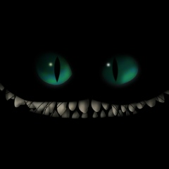 Jeferson Kikonaga, 05.12.1994, Rio do Sul