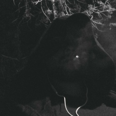 Жека Клейнер, 11.12, Мукачево