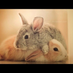 Sholpan Nurkasova, 23.10.1987, Актау