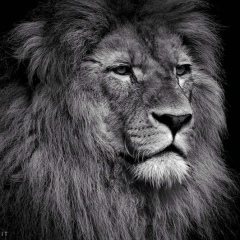 Лера Шамчук, 01.06.2002, Тарко-Сале