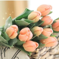 Ирина Прангаки, Мегион