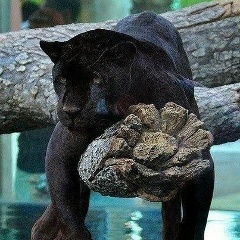 Инна Инна, 15.07.1986, Санкт-Петербург