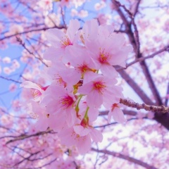 Таня Алексеева, 02.03.1984, Выборг