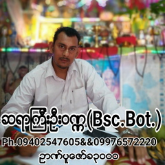 ေဗဒင္လကၡဏာဆရာၾကီးဥ ဆရာၾကီးဦးဝဏၰ, 04.05.1983