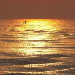 Толя Косовський, 27.08.1985