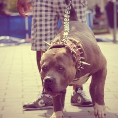 Слава Стоцкий, 30.05