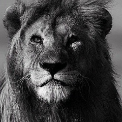 Нурканат Сапарбек, 31.12.1906