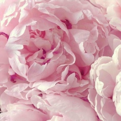 Зарина Каримханова, 23.04, Алматы