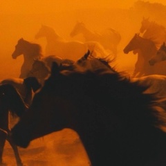 Ерканат Шаймерденов, 04.10.1991, Шалкар