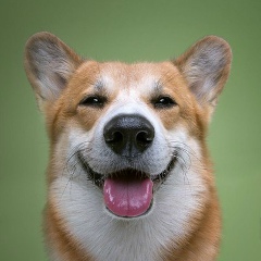 Анна Согонова, 15.07, Самара