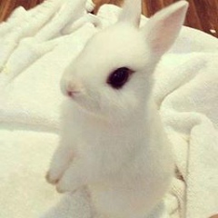 Aysun Memmedova, 20.04.1999, Баку