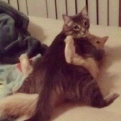 Ким Лорд, 15.07, Москва