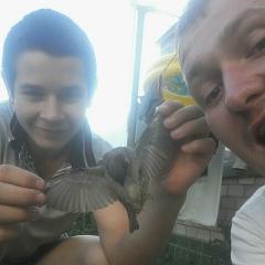 Олег Крамаренко, 25.07.1991, Тальное