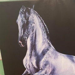 Алихан Бекнур, 15.08.1901, Алматы