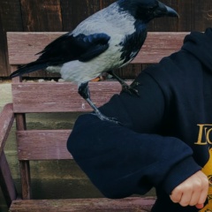 Софья Васильева