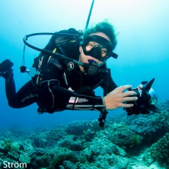 Дарья Колодяжная, 22.11.1993, Stockholm