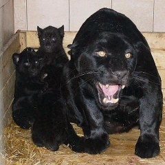 Виталий Христич, 20.12.1986, Днепр (Днепропетровск)