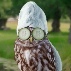 Софья Степанова, 10.08.1986, Москва